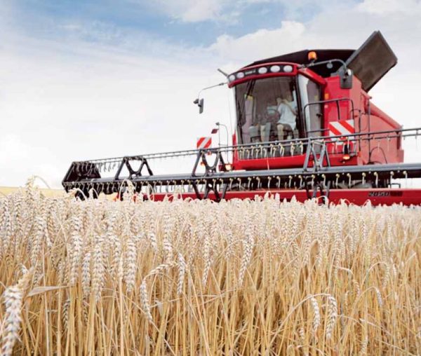 Cosechadora Axial Flow 6130 Soja/Trigo Case Agriculture - Imagen 2