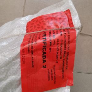 Semillas de Raigras Certificadas